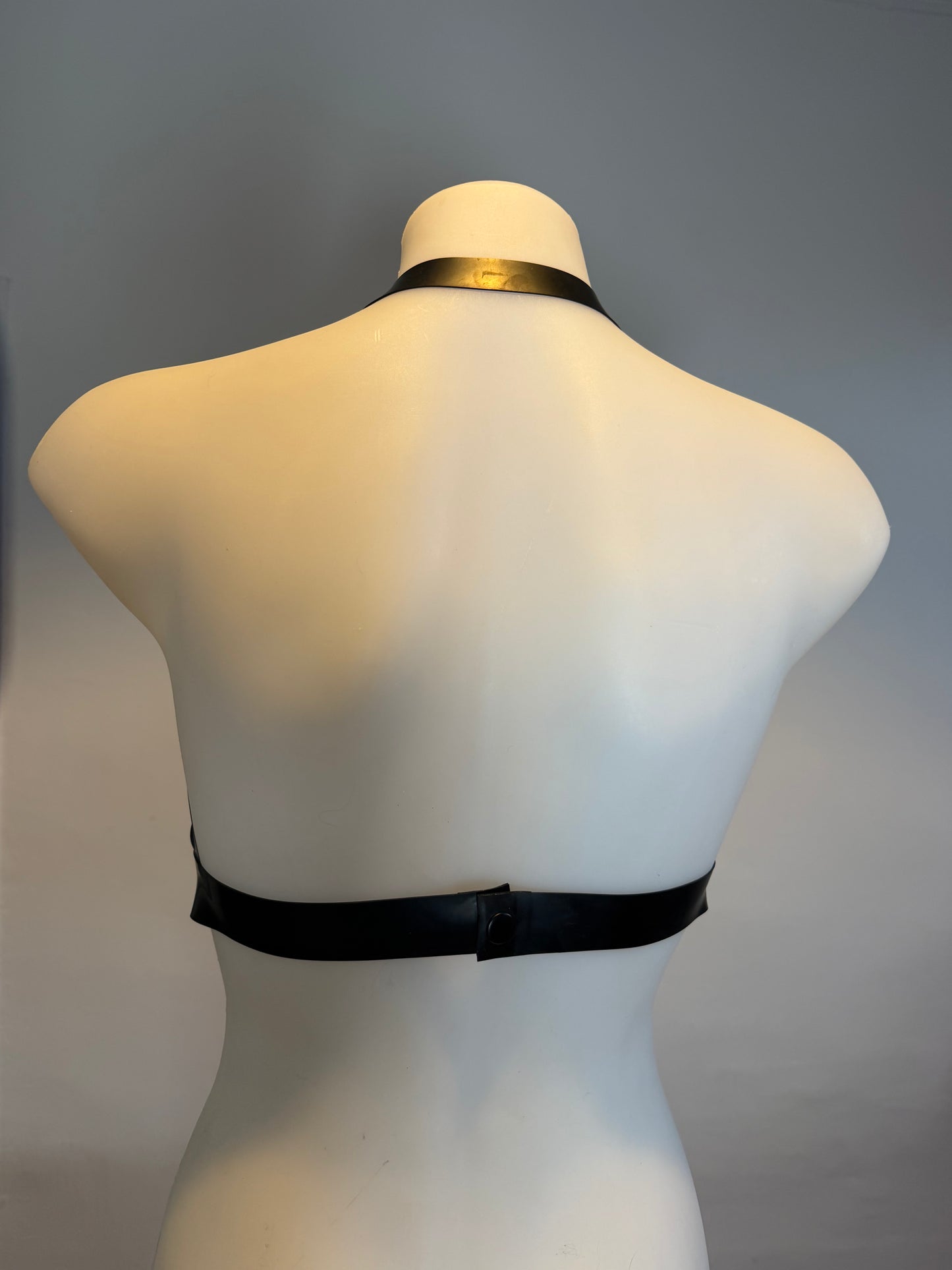 SAMPLE Latex Triangle Bra Size L / UK 14